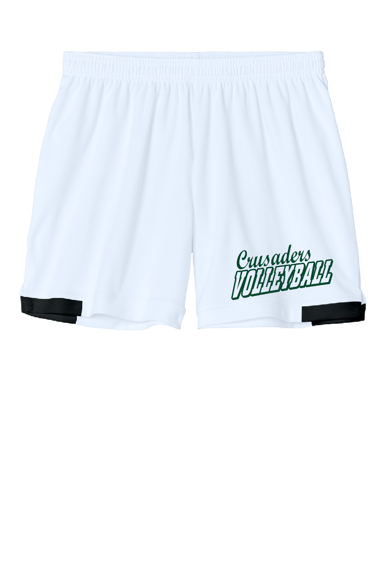 MCS Volleyball Design 1
