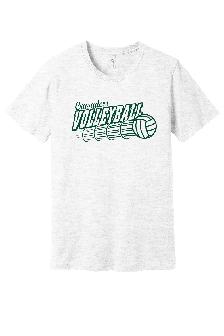 MCS Volleyball Design 1